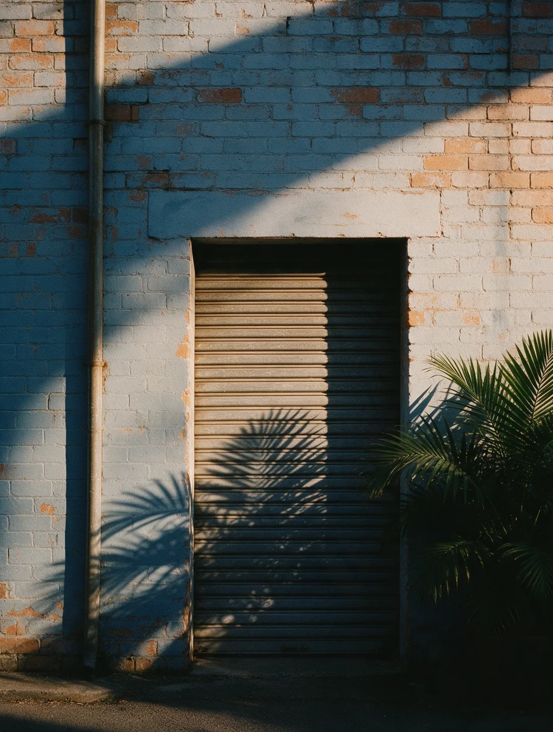 A weathered painted brick laneway wall with a roller door and a potted palm casting a hard shadow.